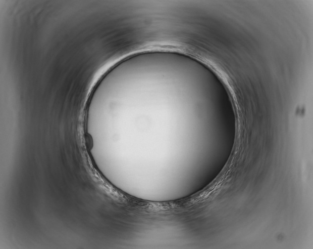 X0000101150960200806270757