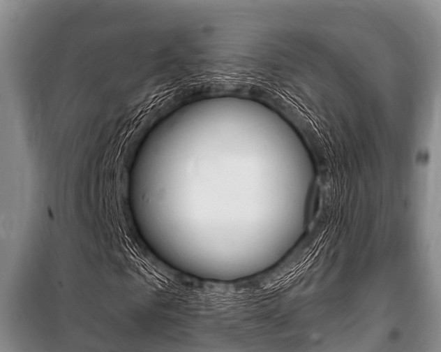 X0000101150961200806270756