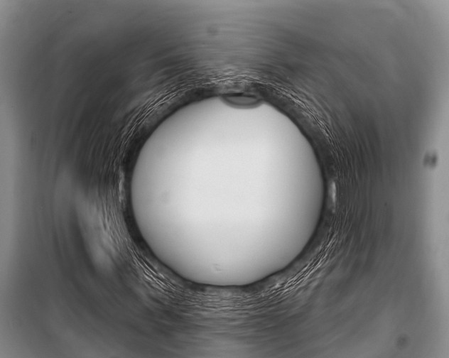 X0000101150963200806270756