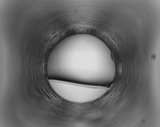 X0000101150964200806270756