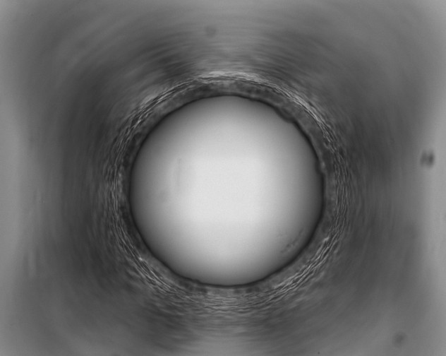 X0000101150965200806270756