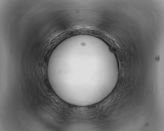 X0000101150966200806270756