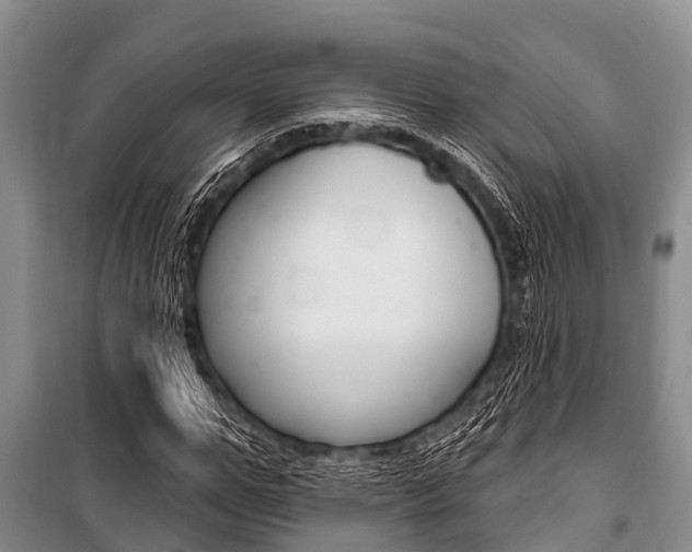 X0000101150967200806270756