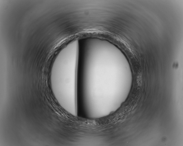 X0000101150968200806270756