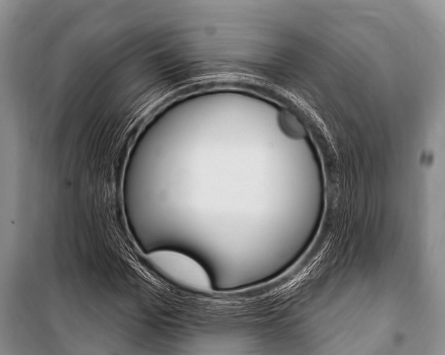 X0000101150969200806270756