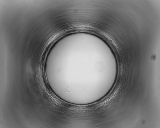 X0000101150970200806270756