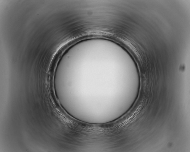 X0000101150971200806270756