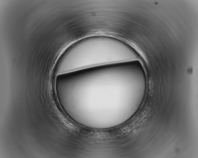 X0000101150972200806270756