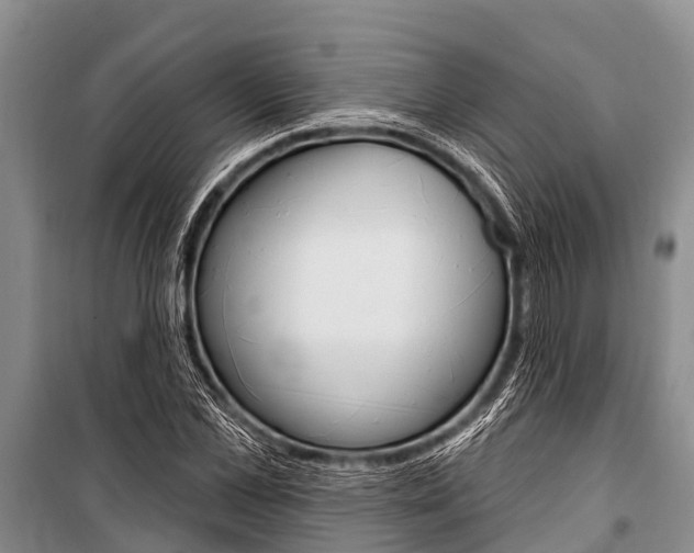 X0000101150973200806270756