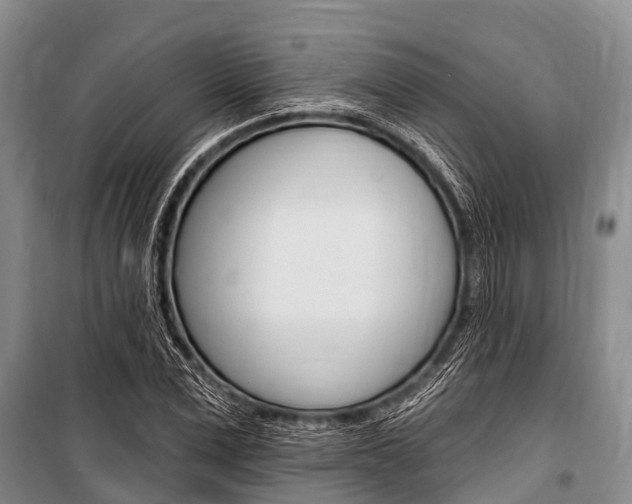 X0000101150975200806270756