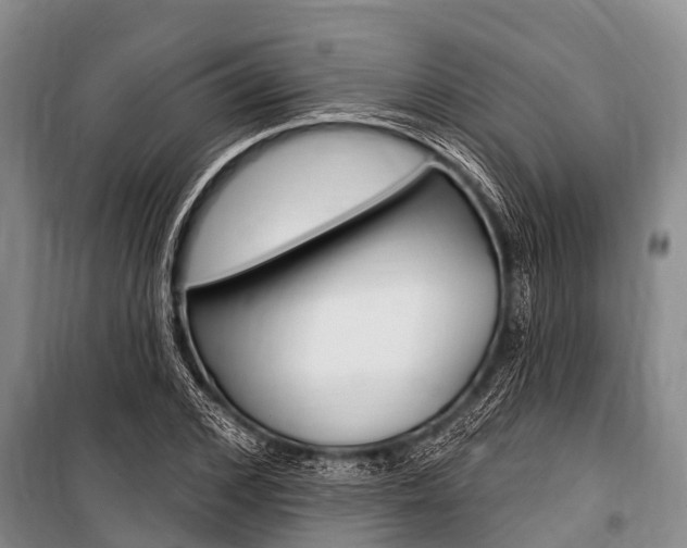 X0000101150976200806270756
