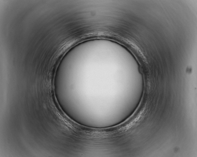 X0000101150977200806270756