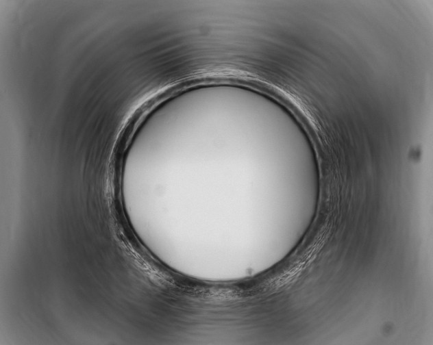 X0000101150979200806270756