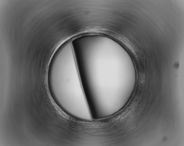 X0000101150980200806270756