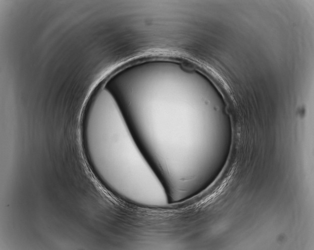 X0000101150981200806270756