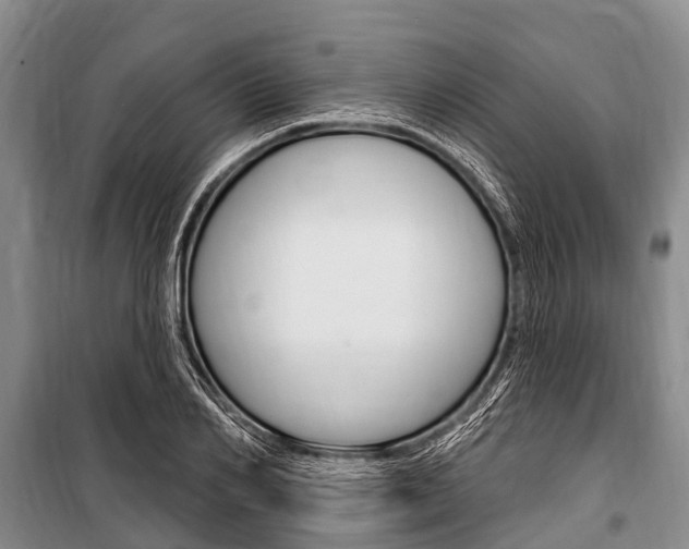 X0000101150982200806270756