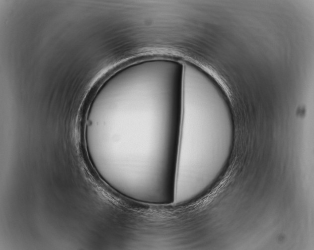 X0000101150983200806270756