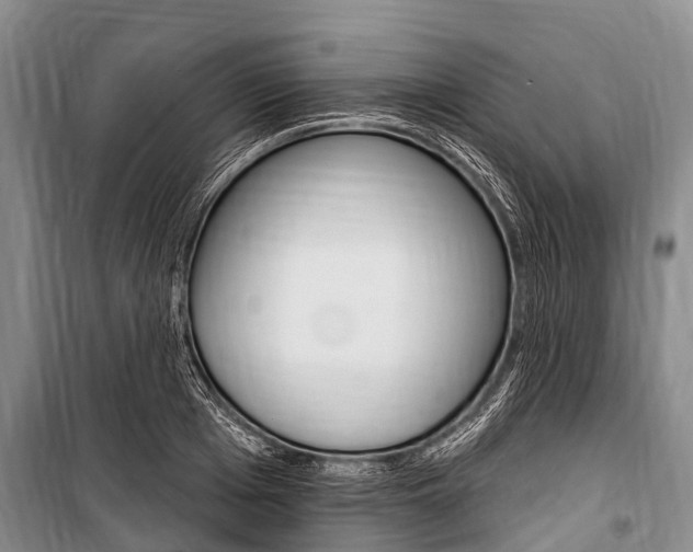 X0000101150985200806270756