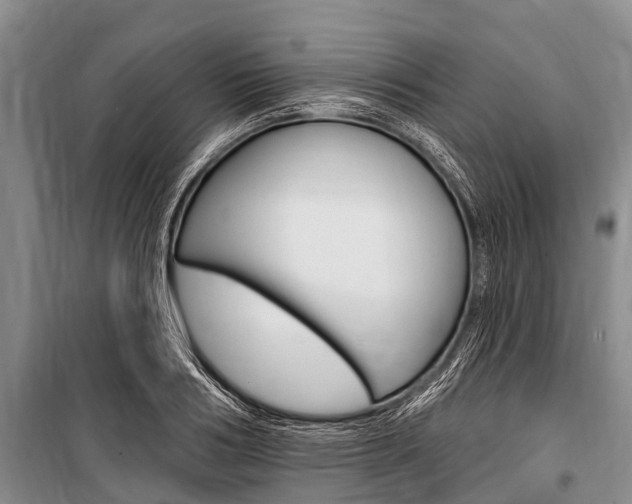 X0000101150986200806270756