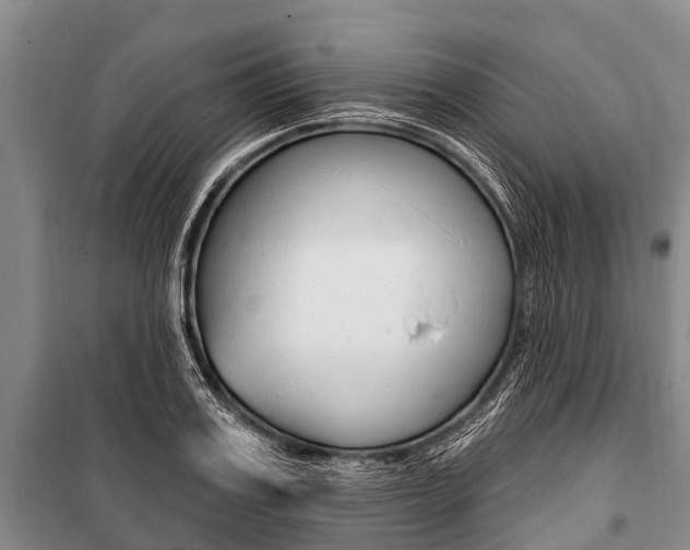 X0000101150987200806270756