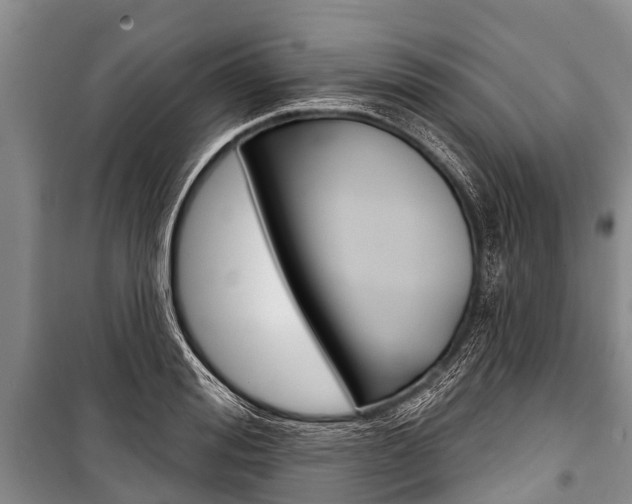 X0000101150988200806270756