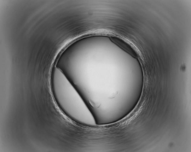 X0000101150989200806270755