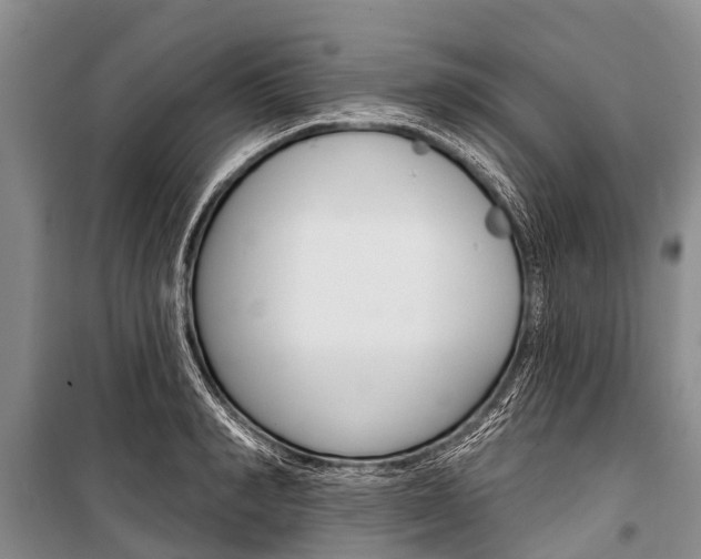 X0000101150990200806270755