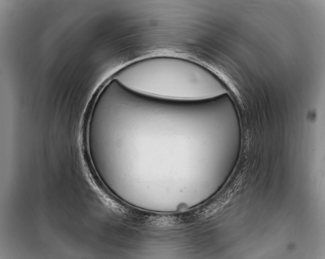 X0000101150991200806270755