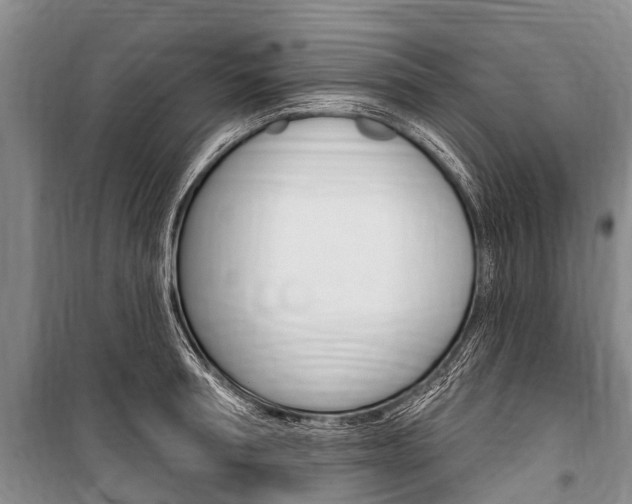 X0000101150994200806270755