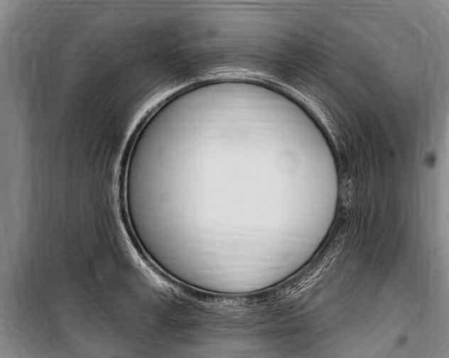 X0000101150995200806270755