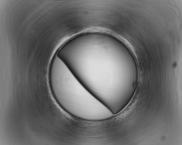X0000101150997200806270755