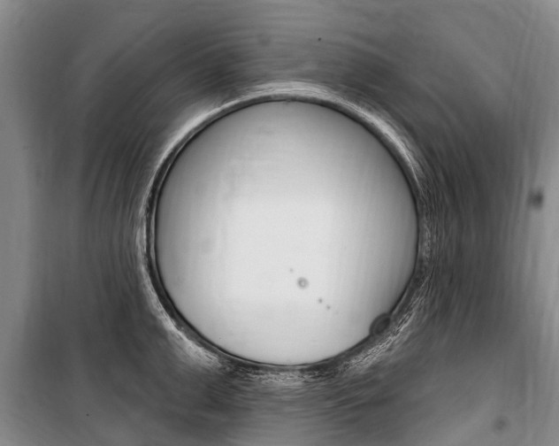 X0000101150999200806270755