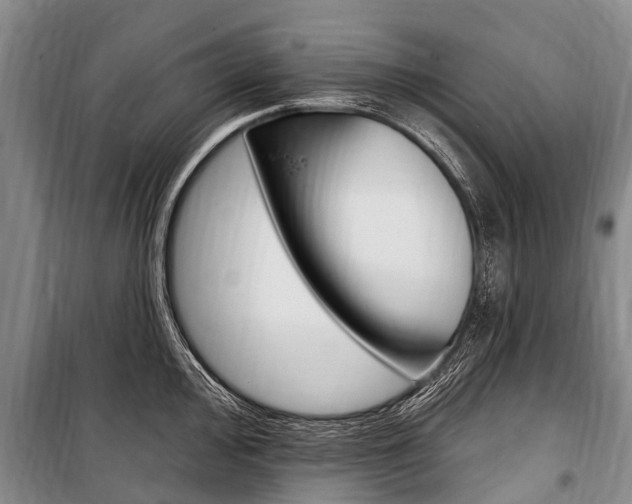 X0000101151000200806270755