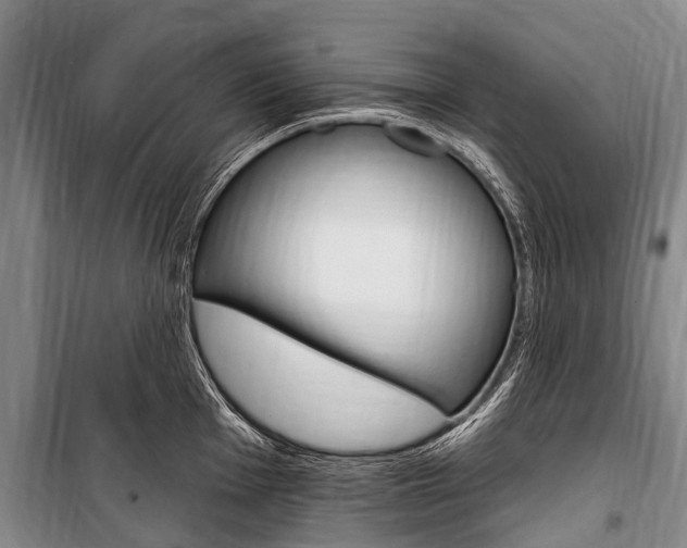 X0000101151001200806270755
