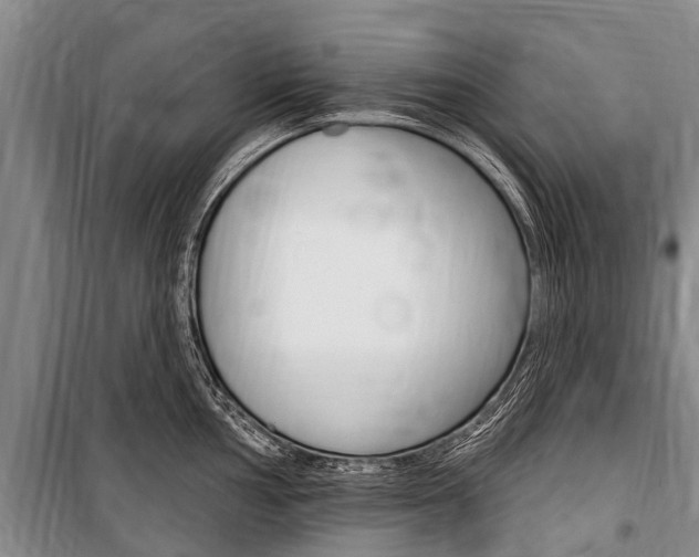 X0000101151002200806270755