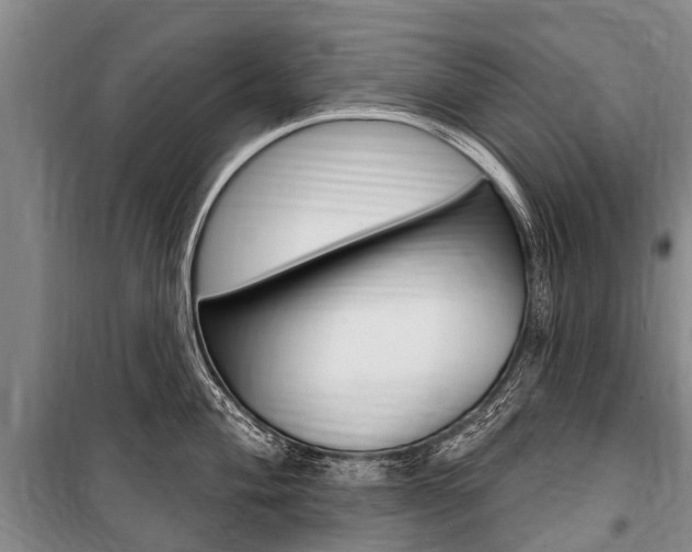 X0000101151004200806270755