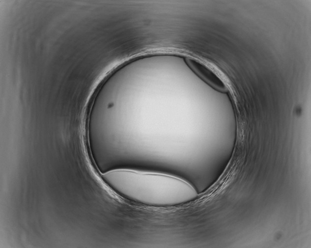 X0000101151005200806270755
