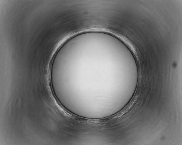 X0000101151006200806270755