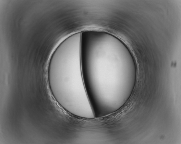 X0000101151008200806270755