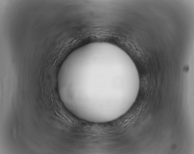 X0000101151009200806270754