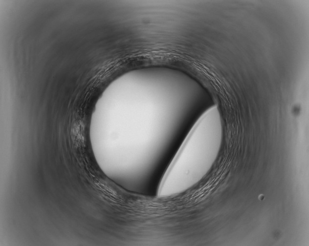 X0000101151010200806270754