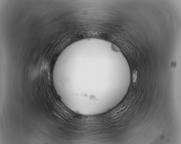 X0000101151011200806270754