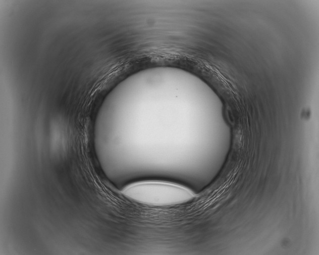 X0000101151012200806270754