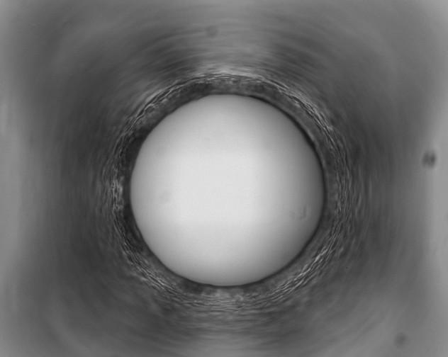 X0000101151013200806270754