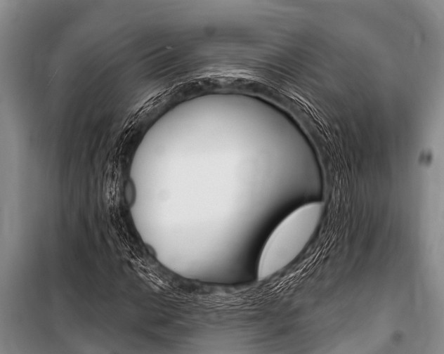 X0000101151014200806270754