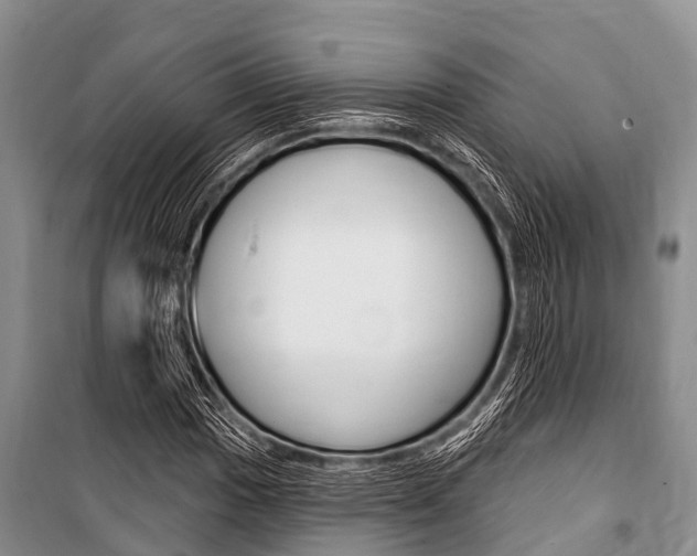 X0000101151017200806270754