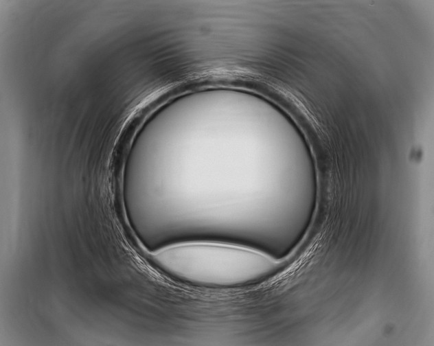 X0000101151018200806270755