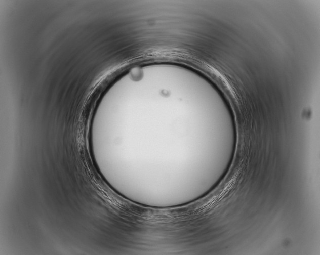 X0000101151019200806270755