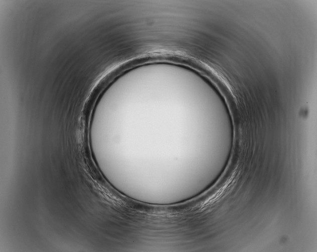 X0000101151021200806270755