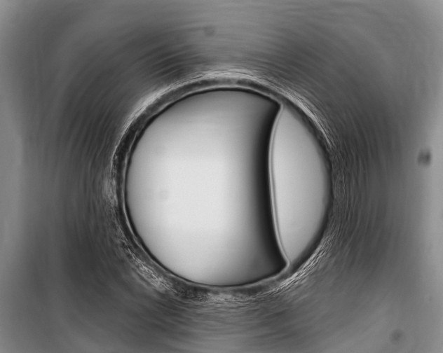 X0000101151022200806270755